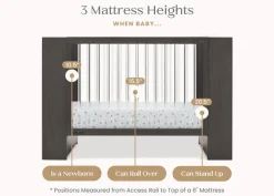 Baby Cribs*Delta Children Aerin 4-in-1 Convertible Crib Rustic Grey (084)