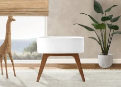 Bassinets|Bassinets*Delta Children Aero Bassinet