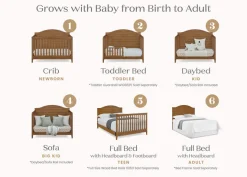 Baby Cribs*Delta Children Phoebe 6-in-1 Convertible Crib Chestnut (836)